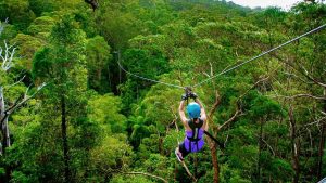 adrenaline park scenic rim
