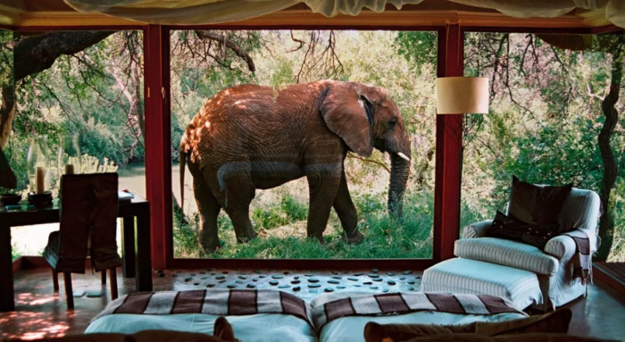 Tanzania luxury safaris
