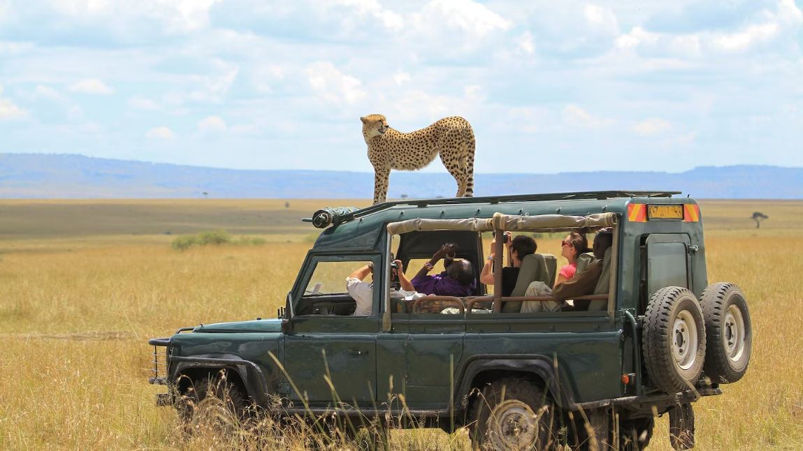 Wildlife Encounter Etiquette For South Africa’s Safari Tours