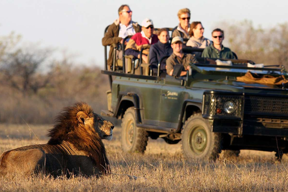 South Africa's safari tours