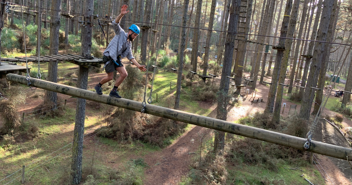 Breathtaking Tree Adventures in New Zealand You Need to Experience