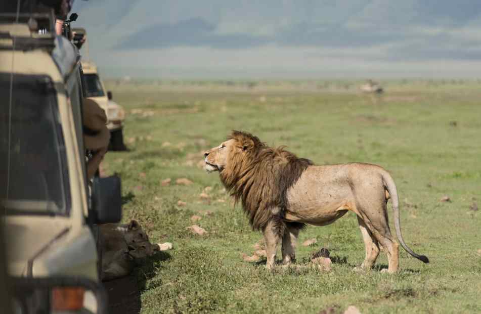 Why a Bespoke African Safari Specialist Gets You Closer to What You Actually Want